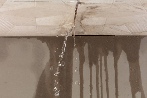 Professional Structural Drying technician working in Luther, MI